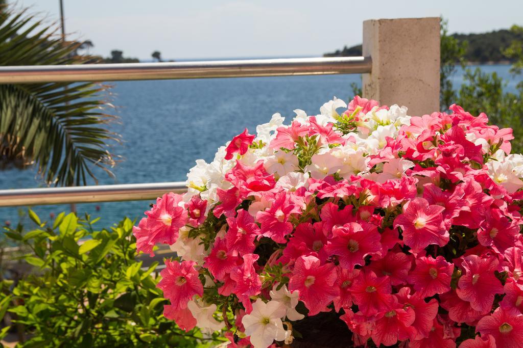 Apartments Villa Julija 木洛希尼 客房 照片